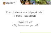 Fremtidens socialpsykiatri  i Høje Taastrup Hvad vil vi? - Og hvordan gør vi?