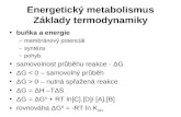 Energetický metabolismus Základy termodynamiky