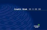 Credit Risk  관리 및 향후 계획
