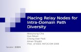 Placing Relay Nodes for Intra-Domain Path Diversity