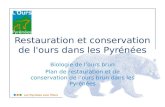 Restauration et conservation de l'ours dans les Pyrénées
