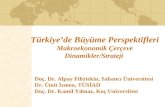 Türkiye’de Büyüme Perspektifleri Makroekonomik Çerçeve Dinamikler/Strateji