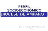 PERFIL SOCIOECONÔMICO  DIOCESE DE AMPARO