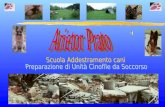 Arietor Prato
