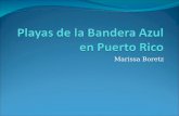 Playas de la Bandera  Azul en Puerto Rico