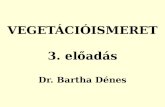 VEGETÁCIÓISMERET 3. előadás Dr. Bartha Dénes