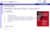Amaryllis: Welzijn Nieuwe Stijl in Ljouwert/ Fryslân