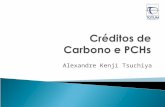 Créditos de Carbono e PCHs