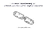 Resistensbestämning av   Enterobacteriaceae  för  cephalosporiner