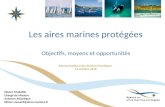 Les aires marines protégées Objectifs, moyens et opportunités