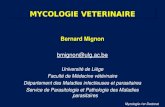 B ernard  Mignon bmignon@ulg.ac.be Université de  Liège Faculté de Médecine vétérinaire