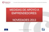 MEDIDAS DE APOYO A EMPRENDEDORES: NOVEDADES 2013