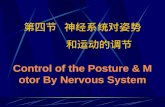 第四节  神经系统对姿势         和运动的调节 Control of the Posture & Motor By Nervous System