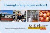 Hwangtorang  onion extract