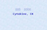 第六章  细胞因子 Cytokine, CK