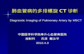 肺血管病的多排螺旋 CT 诊断