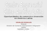 Oportunidades de comercio e inversión en América Latina  OSVALDO ROSALES Director