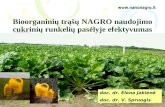 Bioorganinių trąšų  NAGRO  naudojimo cukrinių runkelių pasėlyje efektyvumas