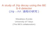 A study of J/ψ decay using the BES-II detector (J/ψ→ΛΛ  過程の研究 )
