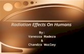 Radiation Effects On Humans