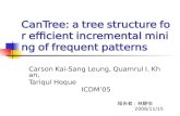 CanTree: a tree structure for efficient incremental mining of frequent patterns