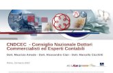 CNDCEC  - Consiglio Nazionale Dottori  Commercialisti ed Esperti Contabili