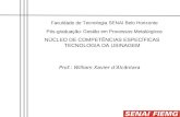 Faculdade de Tecnologia SENAI Belo Horizonte Pós-graduação: Gestão em Processos Metalúrgicos