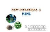 New Influenza  A H1N1