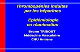 Thrombopénies induites  par les héparines  Epidémiologie en réanimation