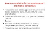 Asma e malattie broncopolmonari croniche ostruttive
