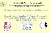 BIKUBEN – Regionalt brukerstyrt senter