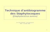 Technique d’antibiogramme des Staphylocoques ( Staphylococcus aureus)