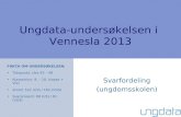 Ungdata-undersøkelsen i  Vennesla 2013