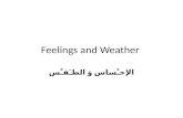 Feelings and Weather