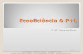 Ecoeficiência & P+L