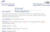 Visual Perception