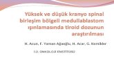 H. Acun, F. Yaman Ağaoğlu, H. Acar, G. Kemikler