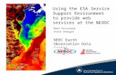 Using the ESA Service Support Environment to provide web services at the NEODC