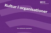 Kultur i organisationer