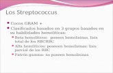 Los Streptococcus