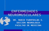 ENFERMEDADES NEUROMUSCULARES