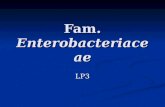 Fam.  Enterobacteriaceae