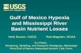 Gulf of Mexico Hypoxia and Mississippi River Basin Nutrient Losses