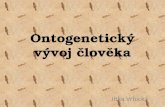 Ontogenetický vývoj člověka