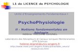 Unité d’Enseignements Fondamentaux I PsychoPhysiologie II - Notions fondamentales en biologie