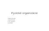 Fyzick é organizácie