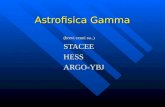Astrofisica Gamma