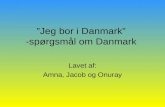 ”Jeg bor i Danmark” -spørgsmål om Danmark