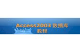 Access2003 数据库教程