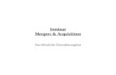 Seminar Mergers & Acquisitions